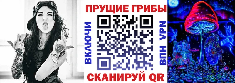 hydra как зайти  Орск  Галлюциногенные грибы Magic Shrooms 